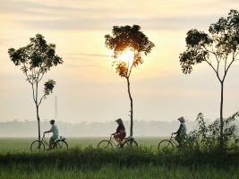 Photo asie personne faisant du vélo dans la verdure à l'aube 